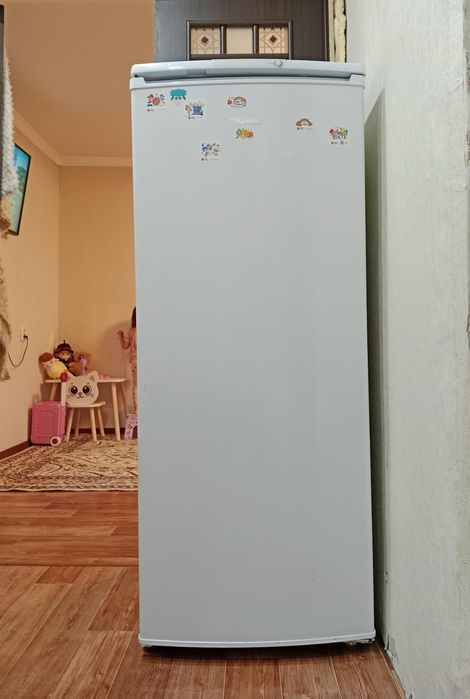 Продам холодильник БИРЮСА