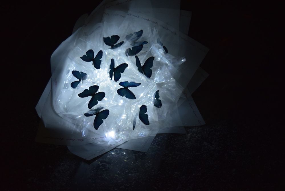 Букет из бабочек