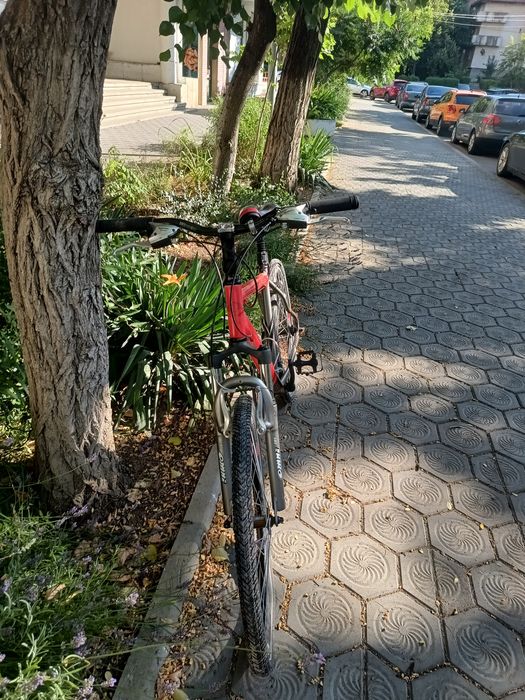 Bicicletă MTB Magellan Draco Acera (Roșu/Gri)