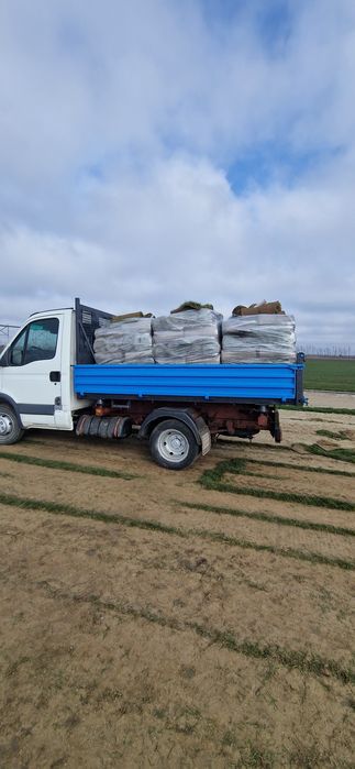 Gazon rulou 35 lei/mp MONTAJ INCLUS
