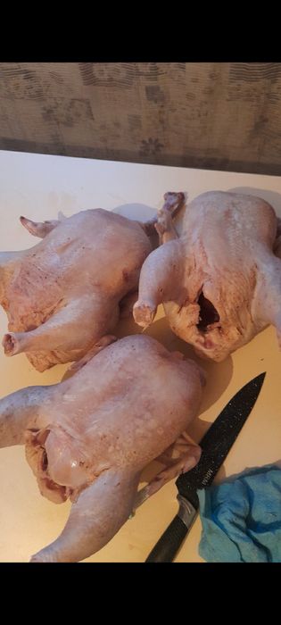 Куры бройлеры домашние свежие