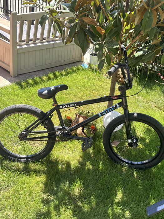 Bmx kink gap fc 23’