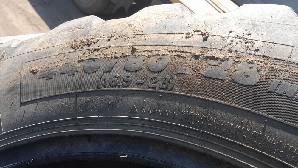 Балон петушок мишлен