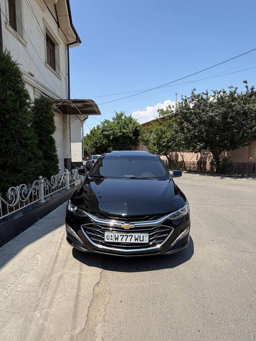 2022 malibu 2 primer tayor hamma narsasi