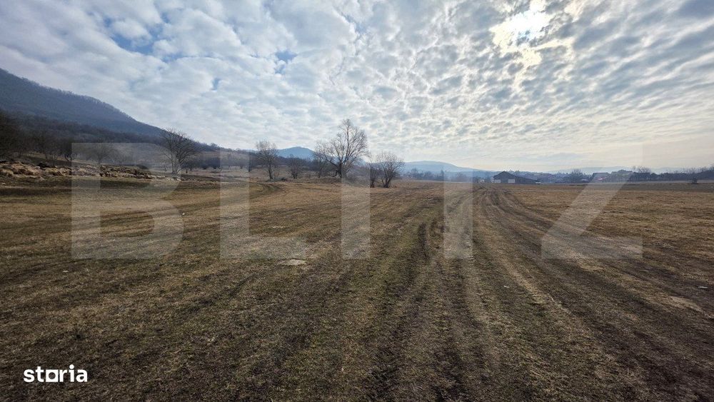Teren extravilan de vanzare, 72 de arii, zona Șieu Magherus