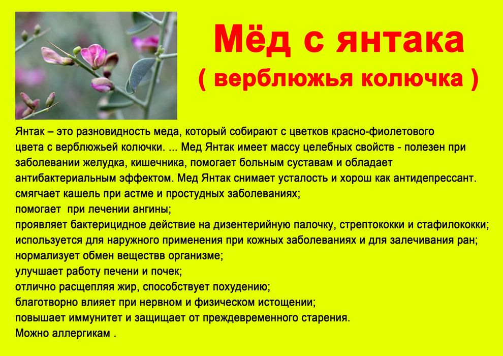 Asaldori Башкирский мёд