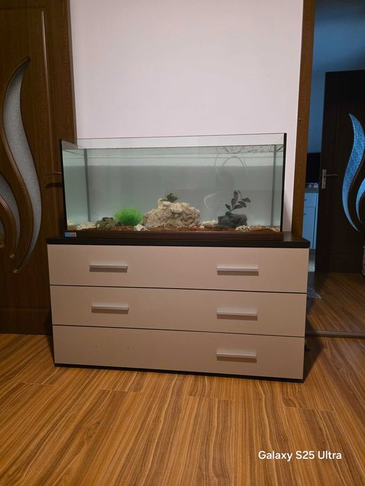 Acvariu mare, decorațiuni si echipamente