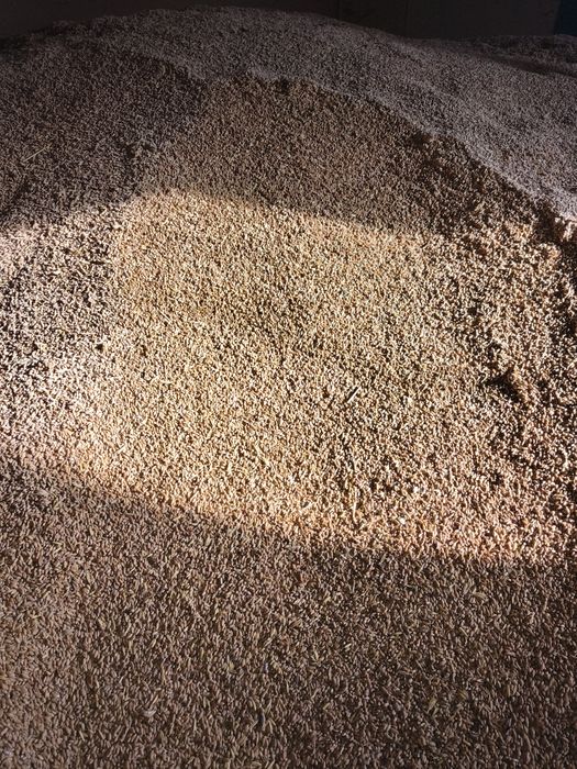 Gâru de vânzare 2025