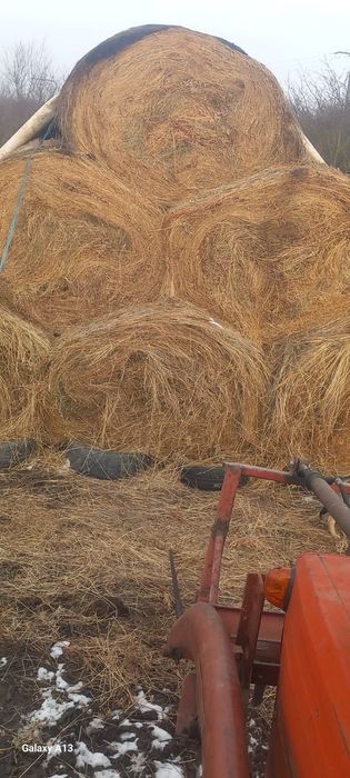 Baloti mari de FAN 180/120 mărime