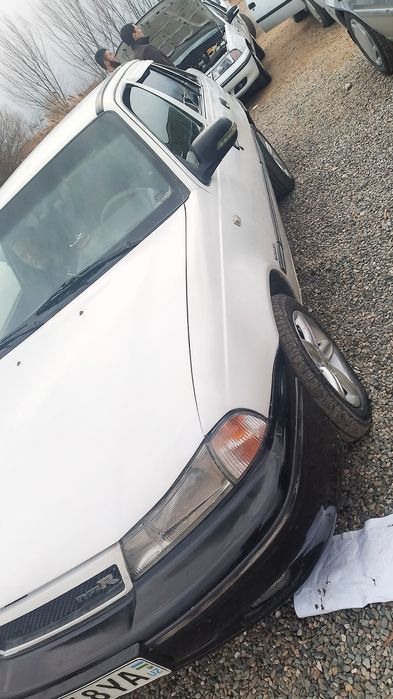 Neksa Dons 2006 yil . Samarqandda