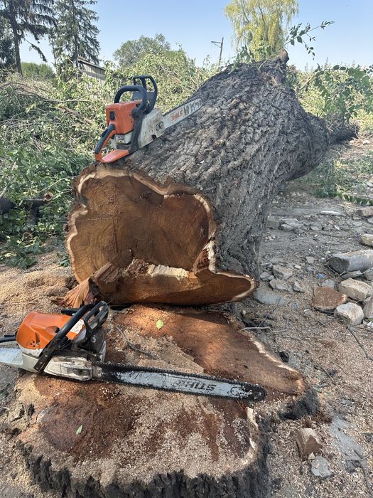 Спил Деревьев,Агаш кесемыз.