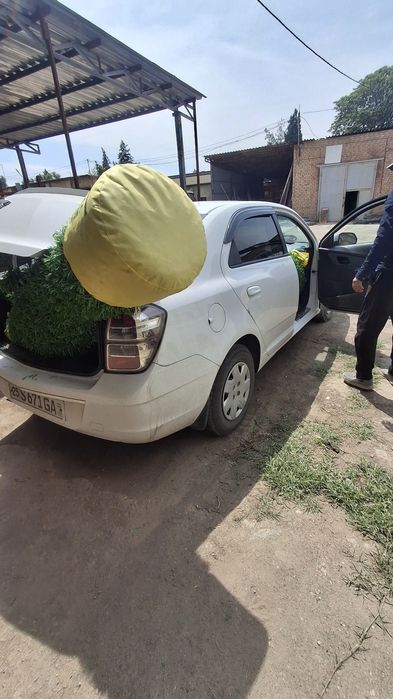 Sun'iy zabor iqlim tanlamaydi yonuvchanmas zanjirsimon