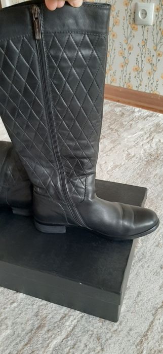 Сапоги женские, демисезон