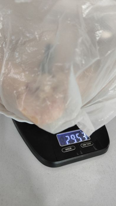 Домашнее мясо курицы