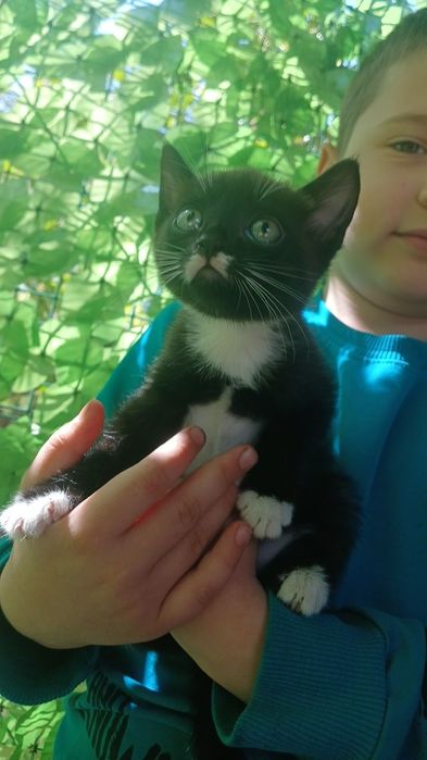 Отдам девочку в добрые руки