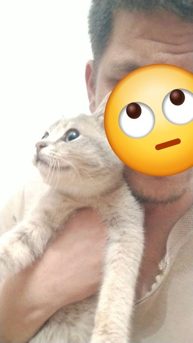 Отдам в хорошие руки