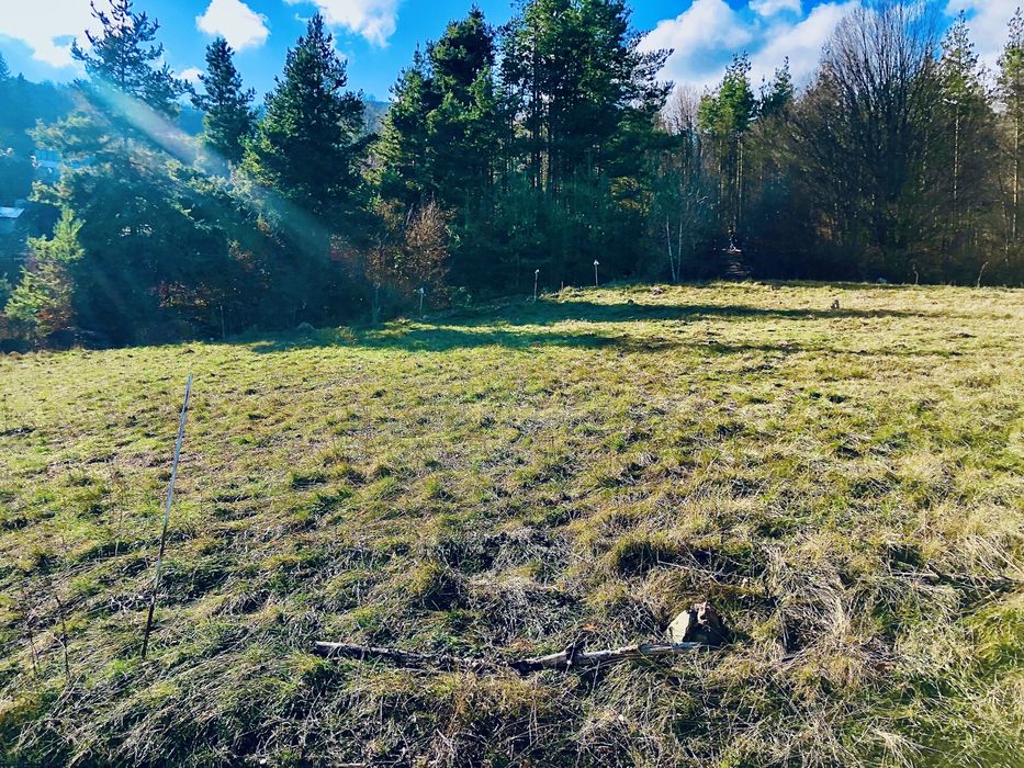 1280 кв.м Своге парцел в Косматица 10 900 € от частно лице!