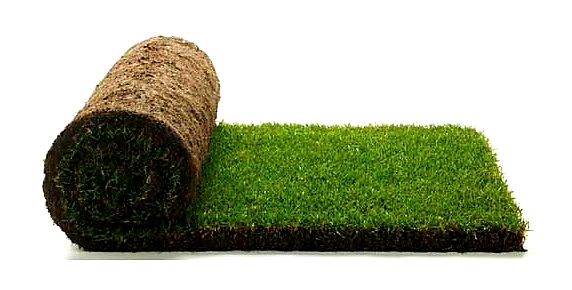 Gazon rulou, insamantare, vand si montez.