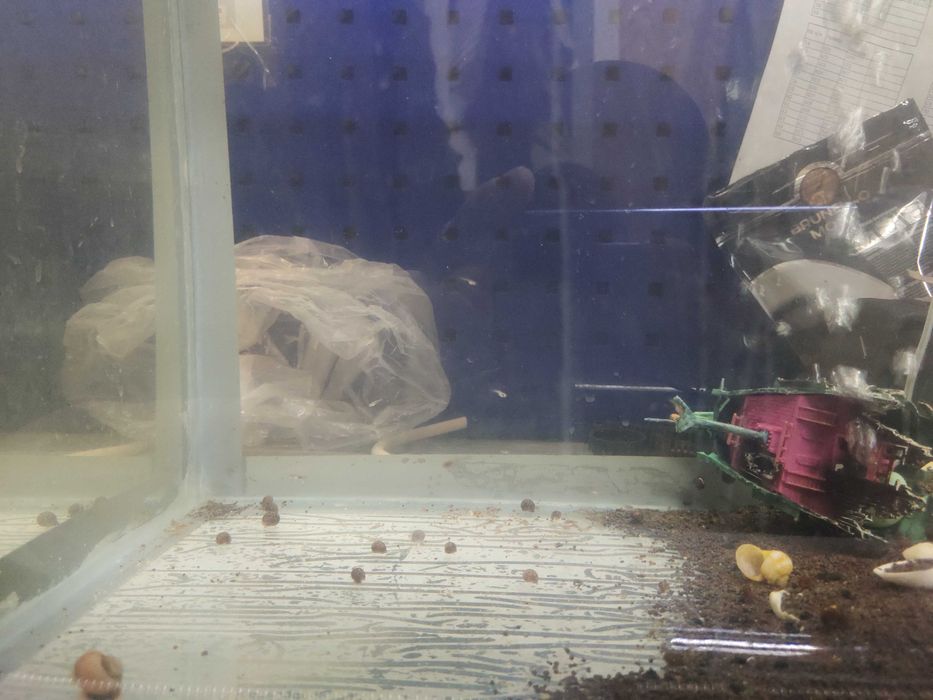 Аквариум с рыбками