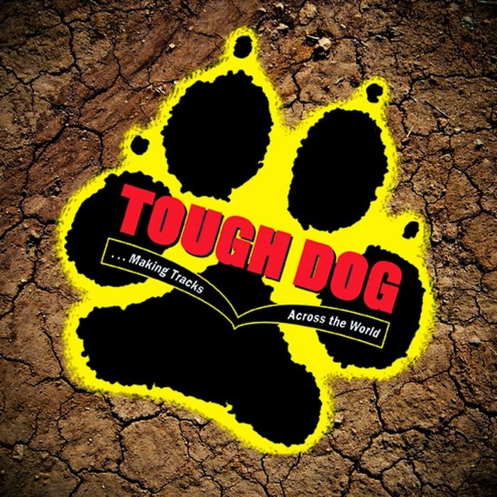 Пружины усиленные на hilux от 2015 года - Tough Dog