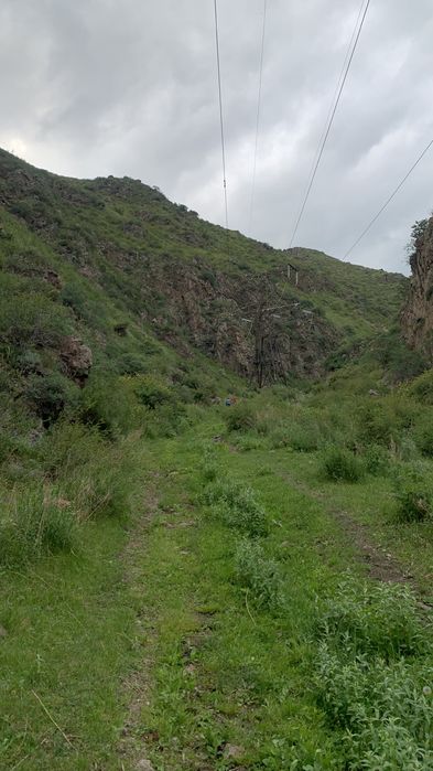 Участок 19,5 гектаров