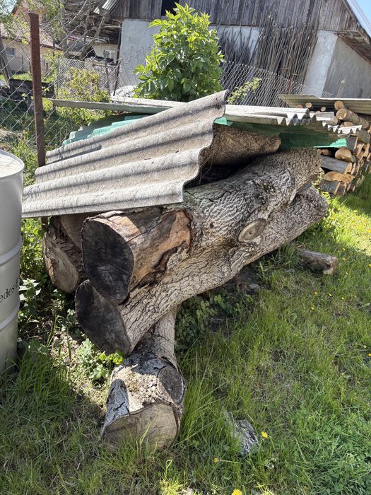 Vand nuc uscat in Sarasau