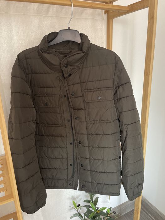 Geaga barbati Mango legera de primavara