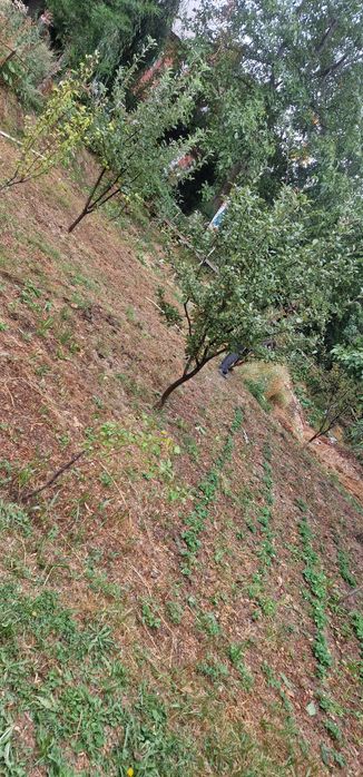 Чимганда дача сотилади