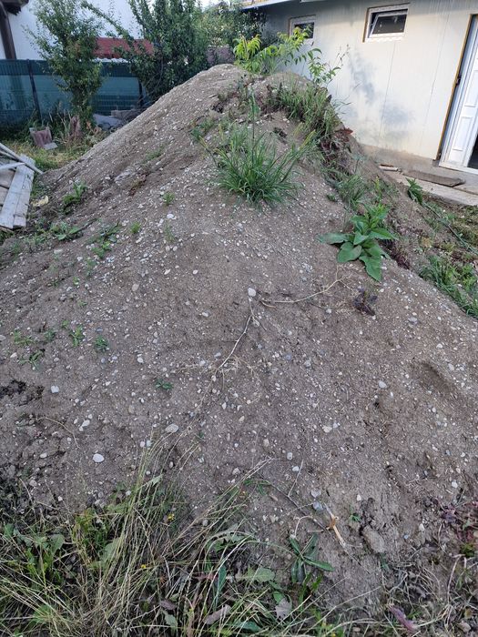 Donez pamant rezultat din sapatura Sanpetru