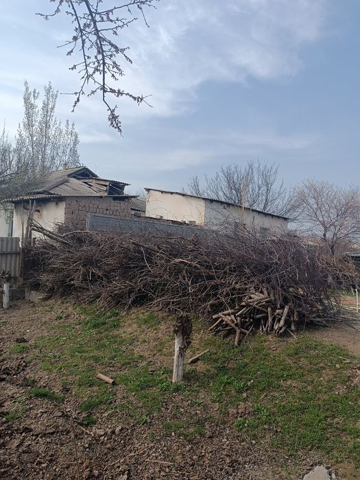 Дарахт Утин сотилади