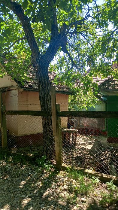 Vand casa in sat Feldioara jud.Cluj