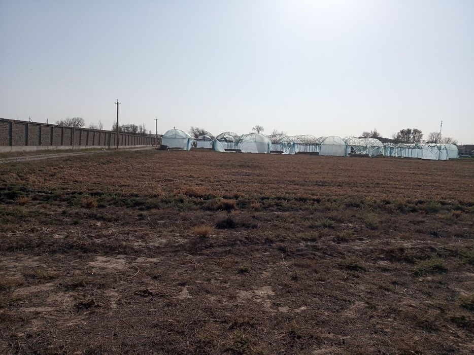 Майдони 2 гектар,60 сотих парники бор.3 хонали уйи бор