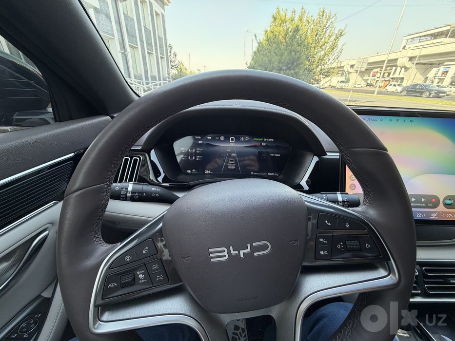 BYD CHEMPION restayling 605