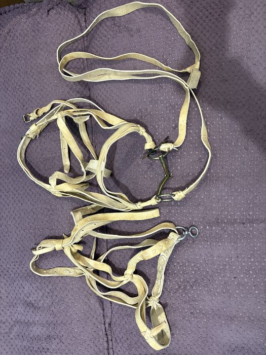 Өмілдірік құйысқан жүген ноқта