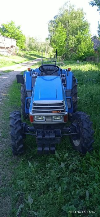 Продам грушу  Лесная красавица