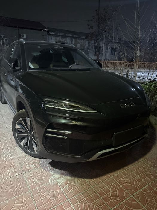 Byd chimpion smat drive