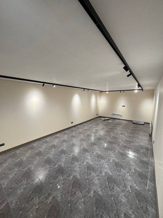 Шота Руставели Братские Могилы | 125кв - нежилое помещение вдоль дорог