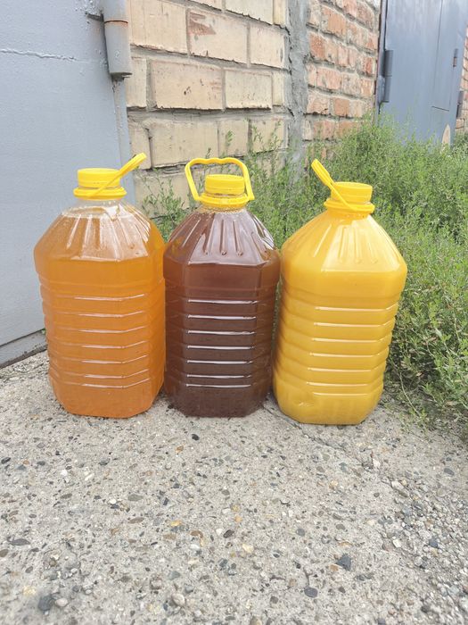 Мед 2025 разных сортов: дягель,цветочный,  разнотравие,лесной.