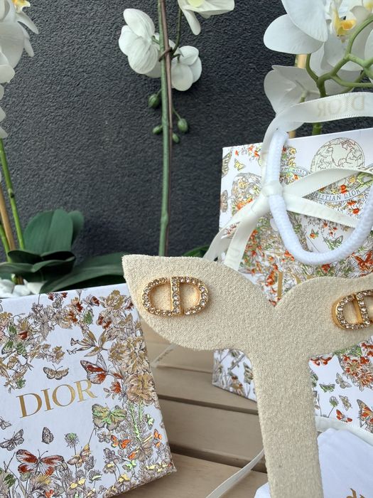 Cercei Dior cristale