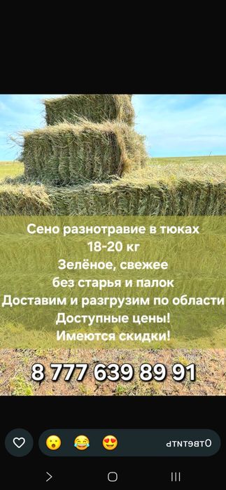 Сено в тюках 890 тг с доставкой