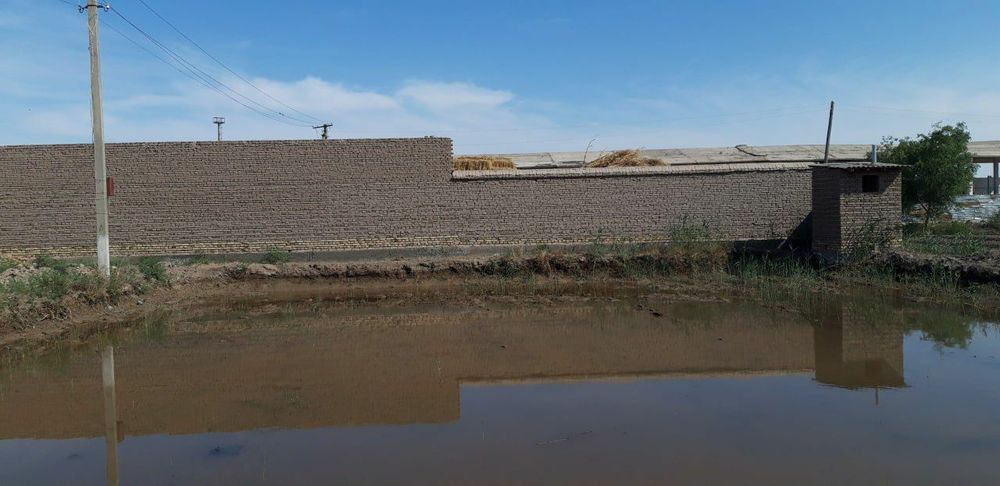 Урганч туманида дурман ж.х жойсатилади