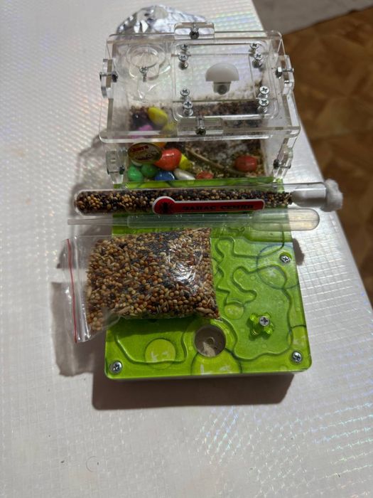 Муравьиная ферма