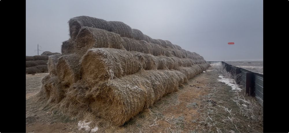 Сено шөп рулон пресс