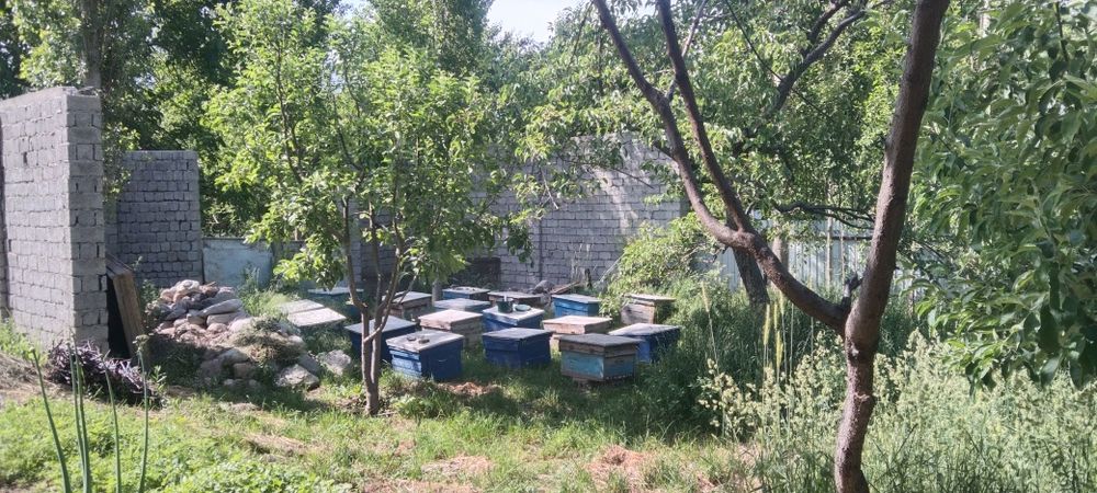 Продам срочно участок в ЧарвакБурчмулла