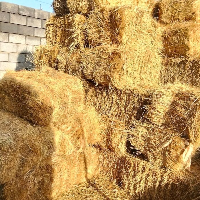 Қырдың шөбі  сатылады