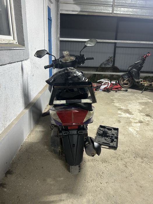 На продаже лия сурпа