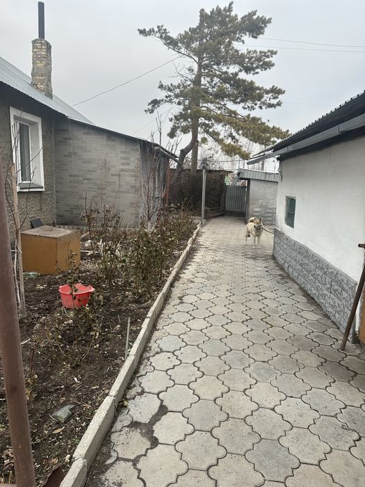 Продается дом на одного хозяина