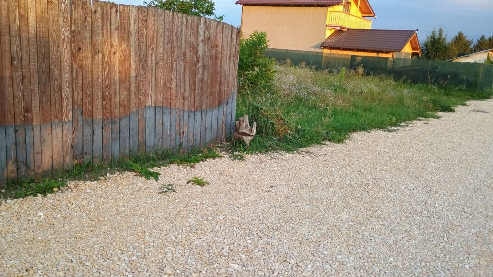 Teren de vanzare stupini