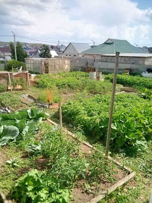 срочно продам дом