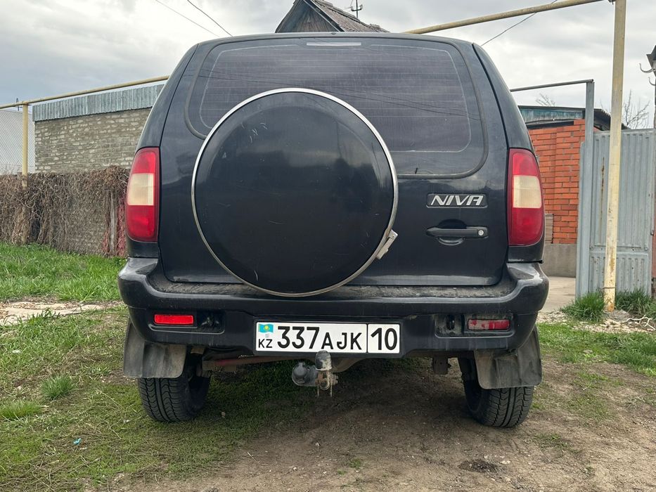 Шнива живая ездиет